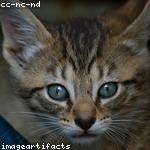 Zetta Cassin Profile Picture