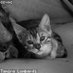 Terence Herman Profile Picture