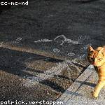 Velva Bernhard Profile Picture